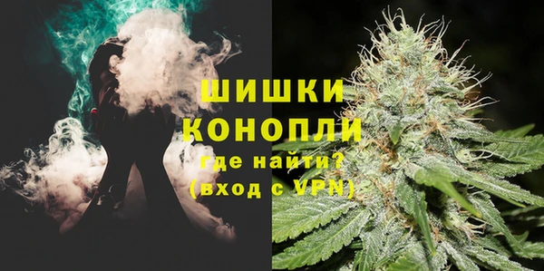 молекула духа Каменск-Шахтинский