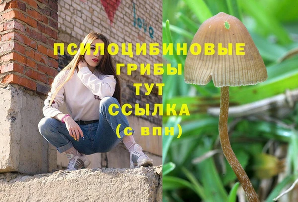 первитин Каменногорск