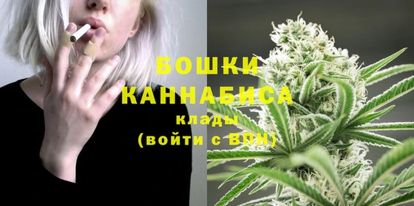 молекула духа Каменск-Шахтинский