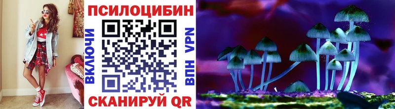 Псилоцибиновые грибы прущие грибы  Купить закладки  Краснокаменск 