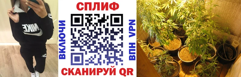 Купить закладки  Краснокаменск  Шишки марихуана Amnesia 