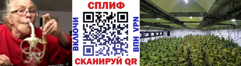 Шишки марихуана сатива Краснокаменск